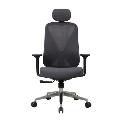 Nylon Ergonomic Swivel Computer Mesh Chair With Lumbar Support